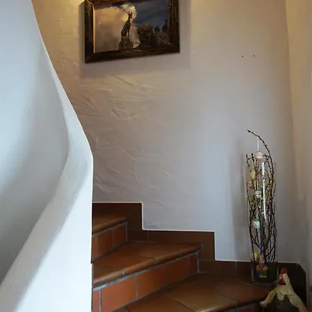 Schmoelz Robert * ريدن