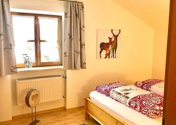 Schmoelz Robert ריידן