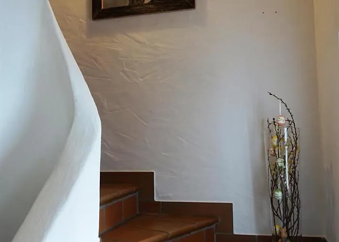 Schmoelz Robert * ריידן